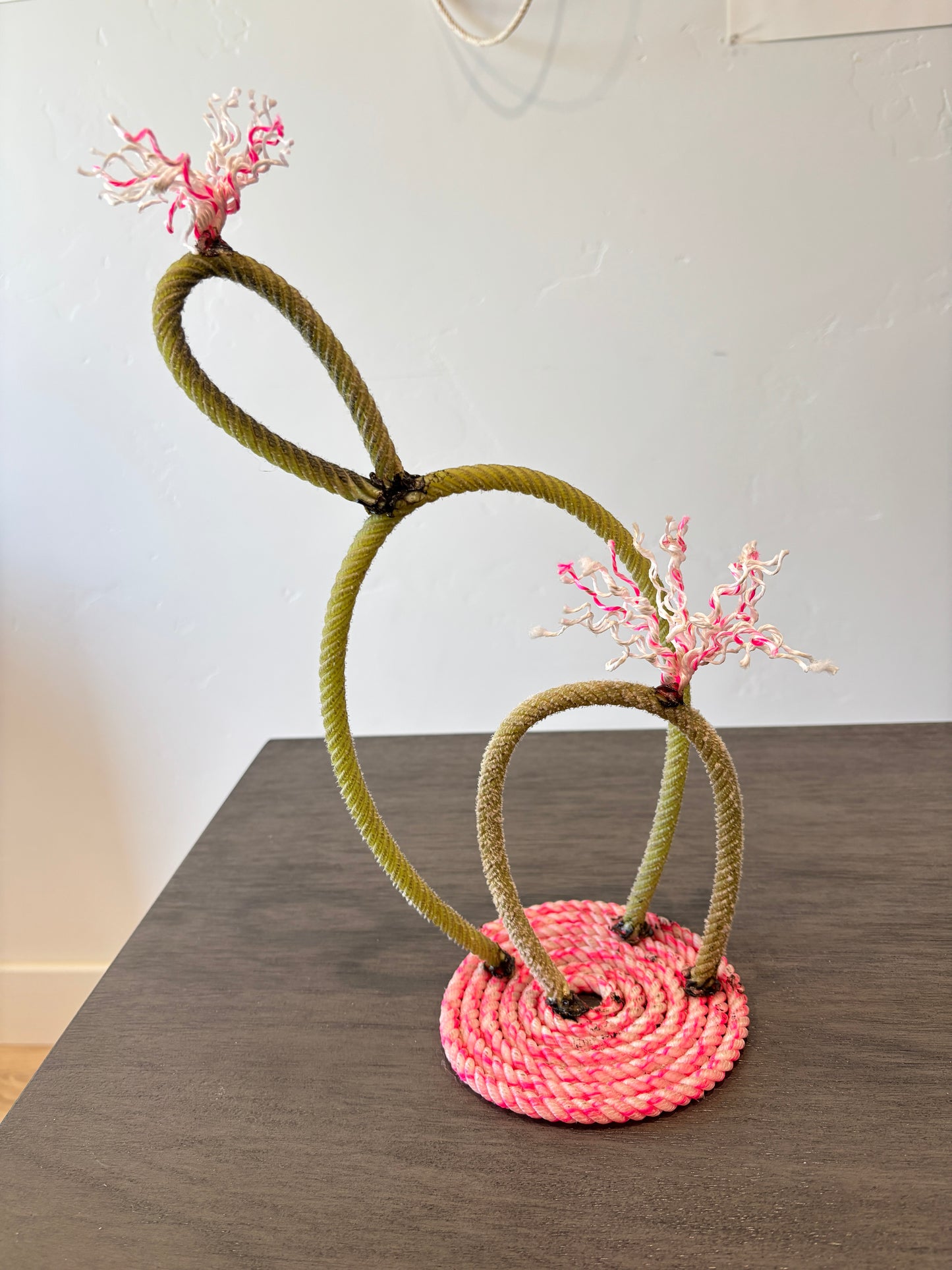 Rope Cactus - Ready to Ship