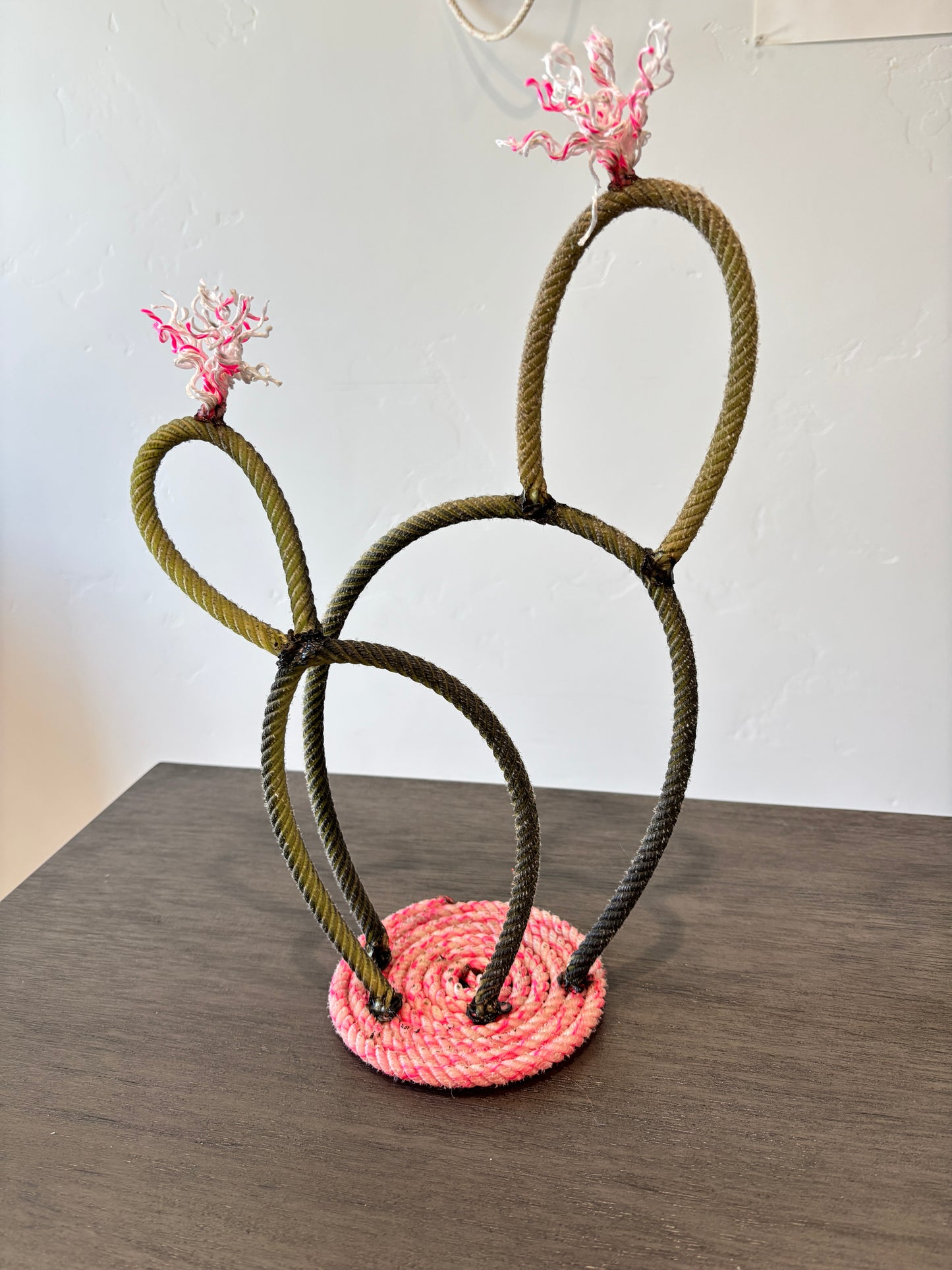 Rope Cactus - Ready to Ship